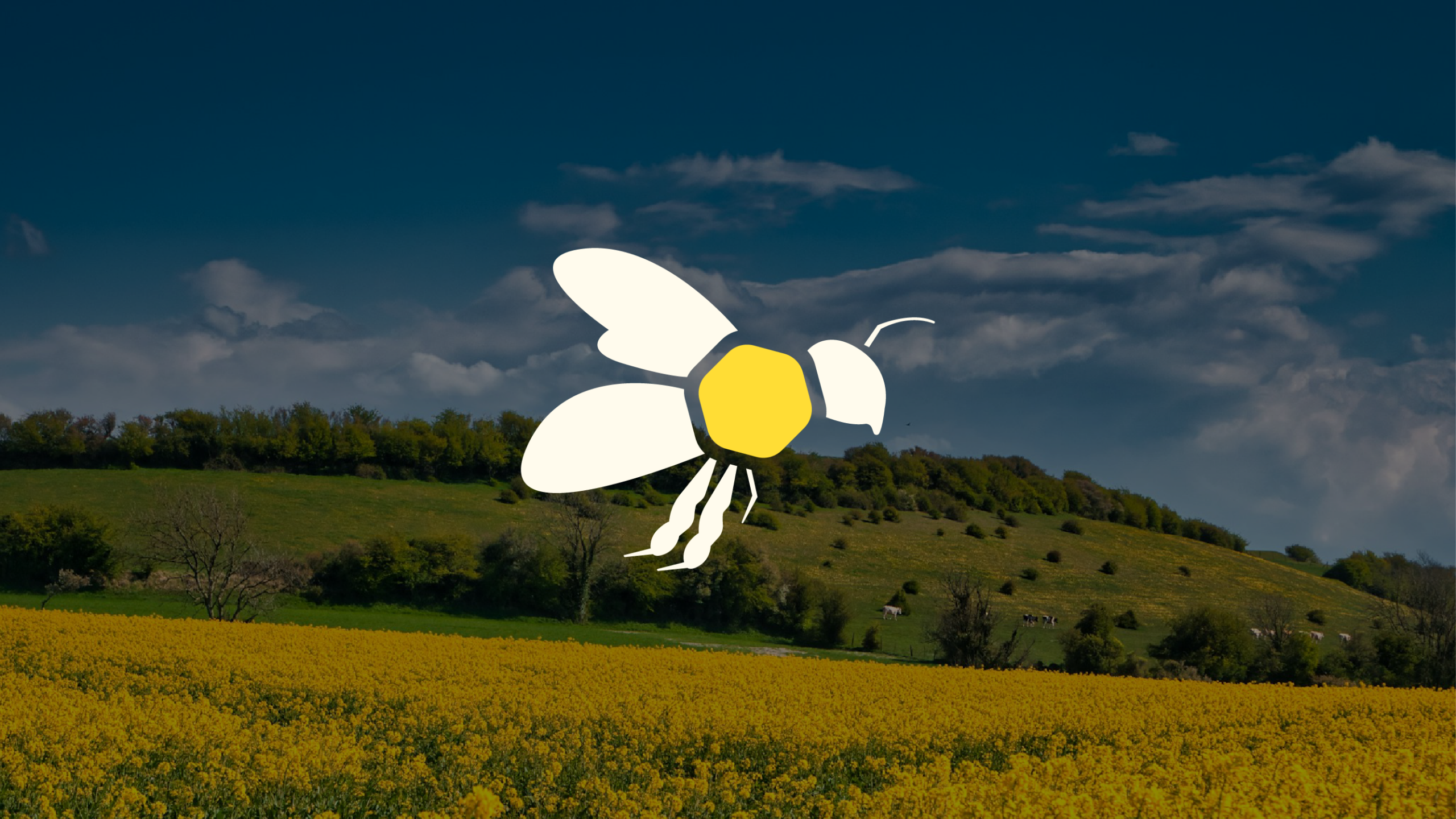 Ícone de abelha sobre um fundo de campo ensolarado